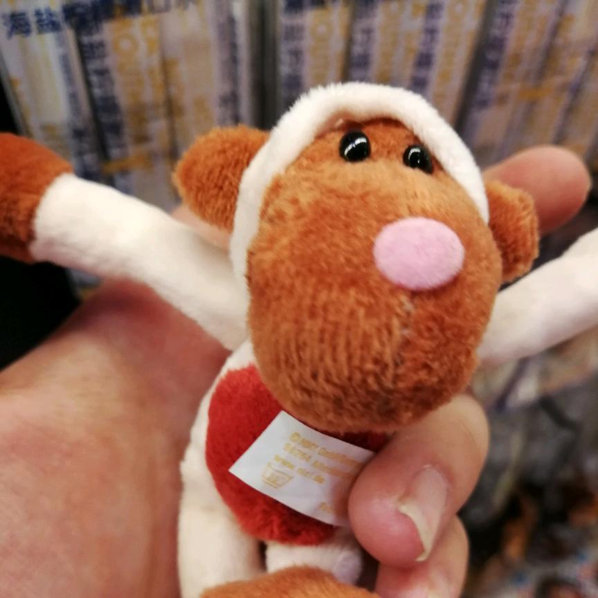 zz( ˃̶̤́ ꒳ ˂̶̤̀ )