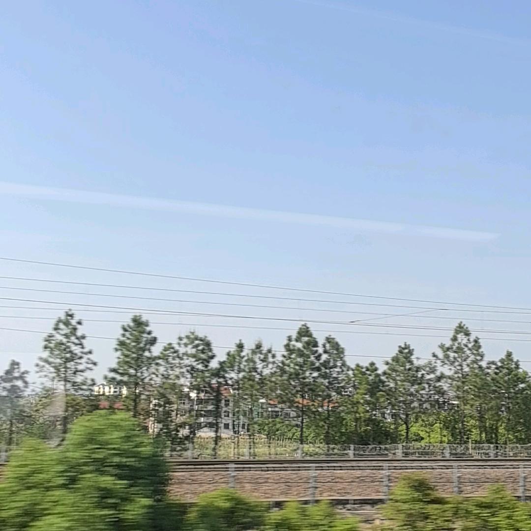 想去最遥远的海