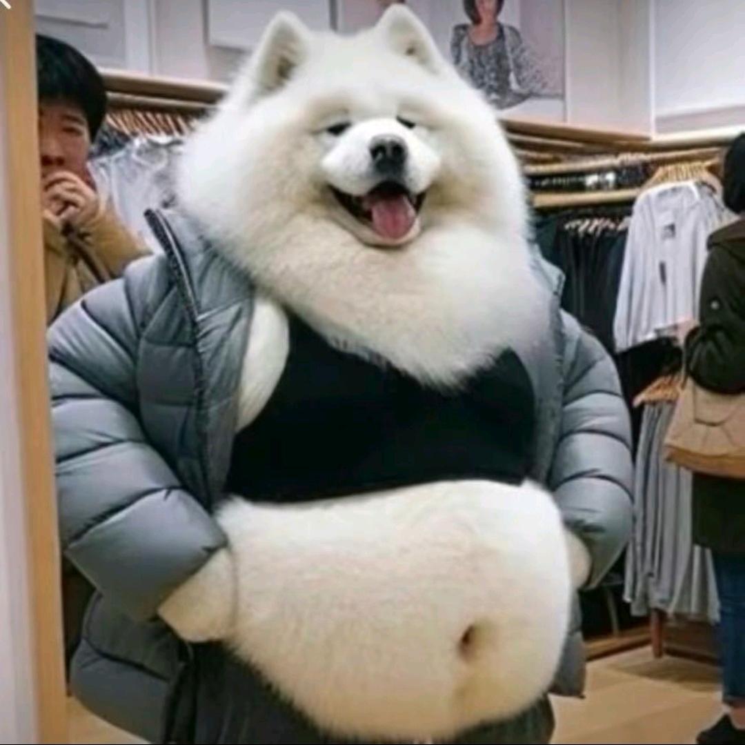 断流