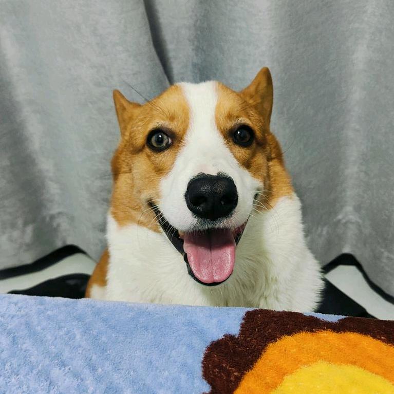 呦～是六一吖！