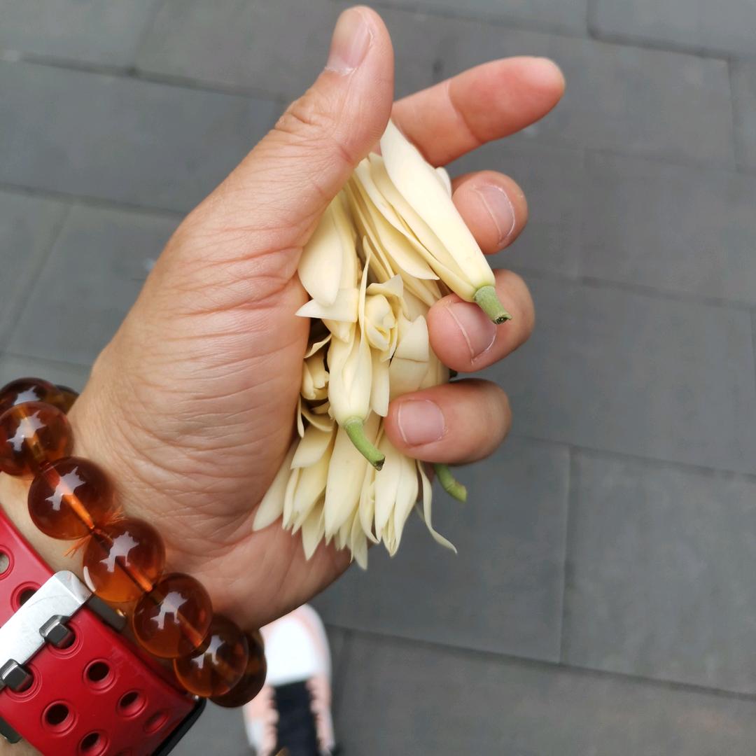 龍隐荟