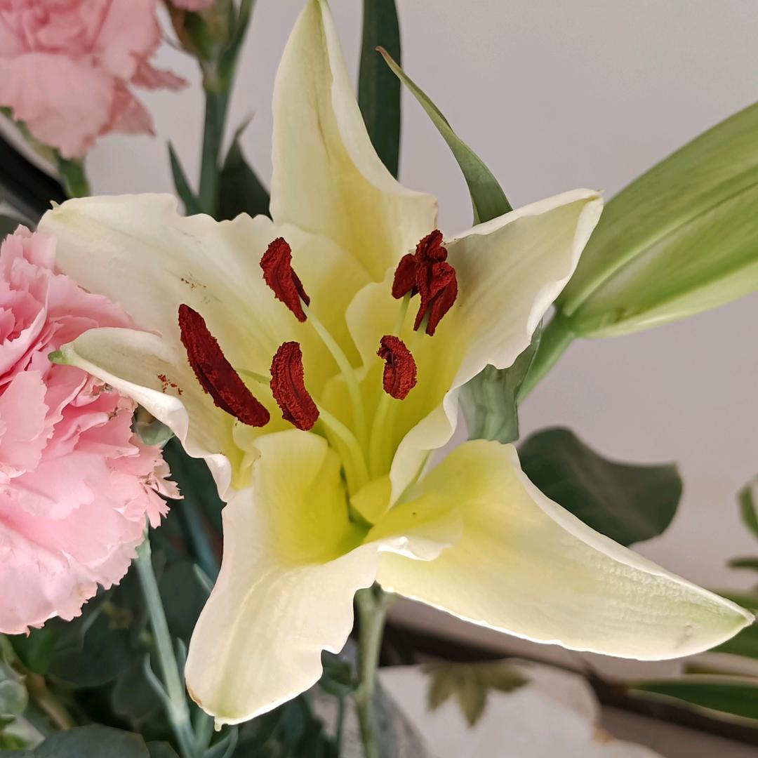 🌹@余生不将就%🌹