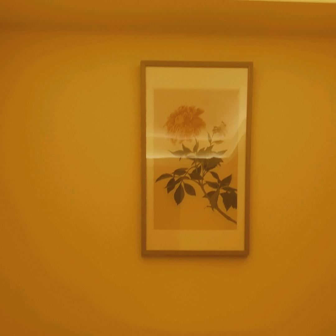 王者配9个女保镖