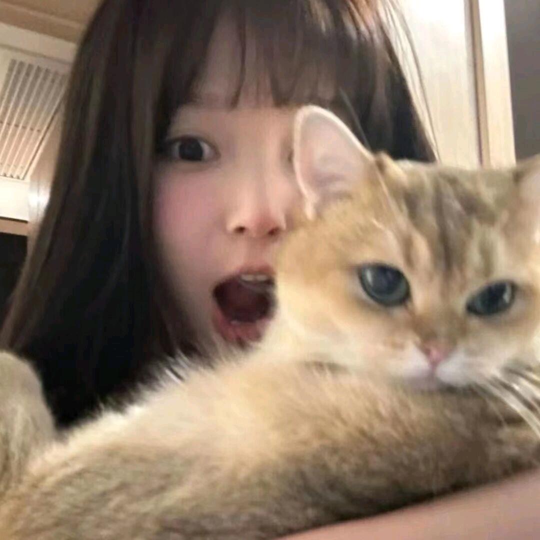 雾时归