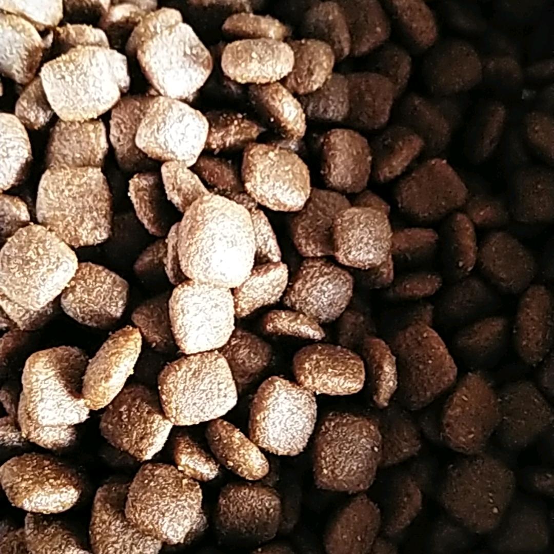 美宝
