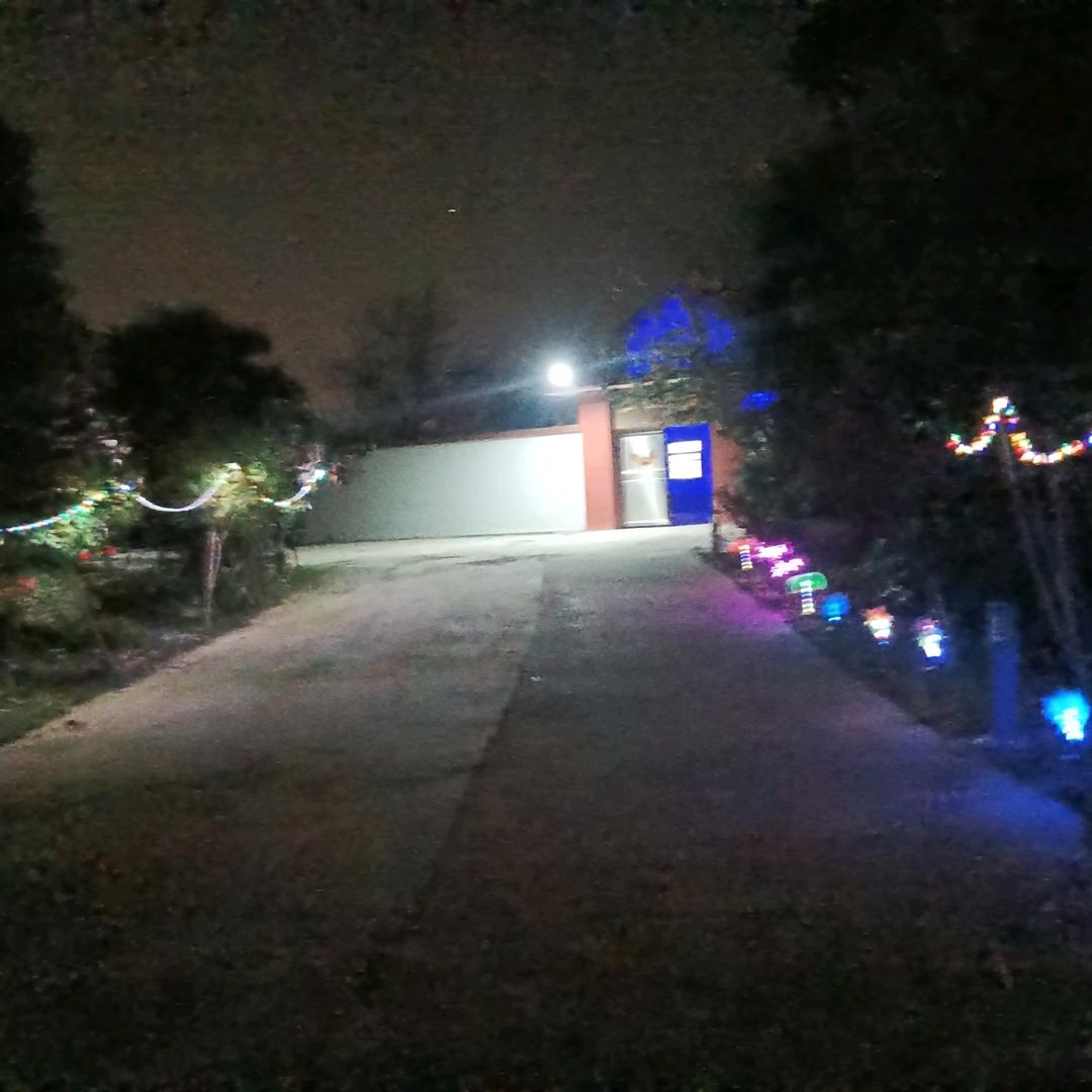 陈爱朝