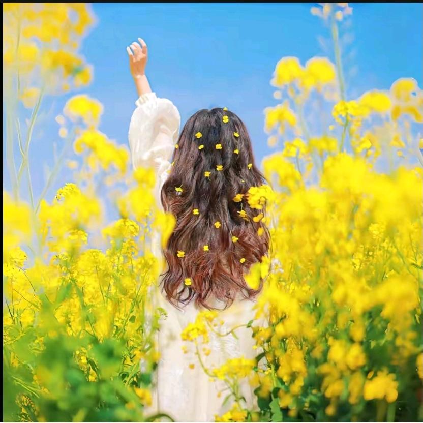 ღᩚ᭄ 小幸💞 运ৡᩚ🌷