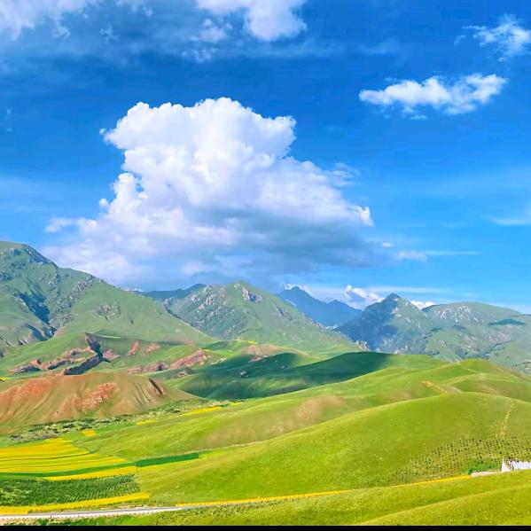 风华依旧笑春风