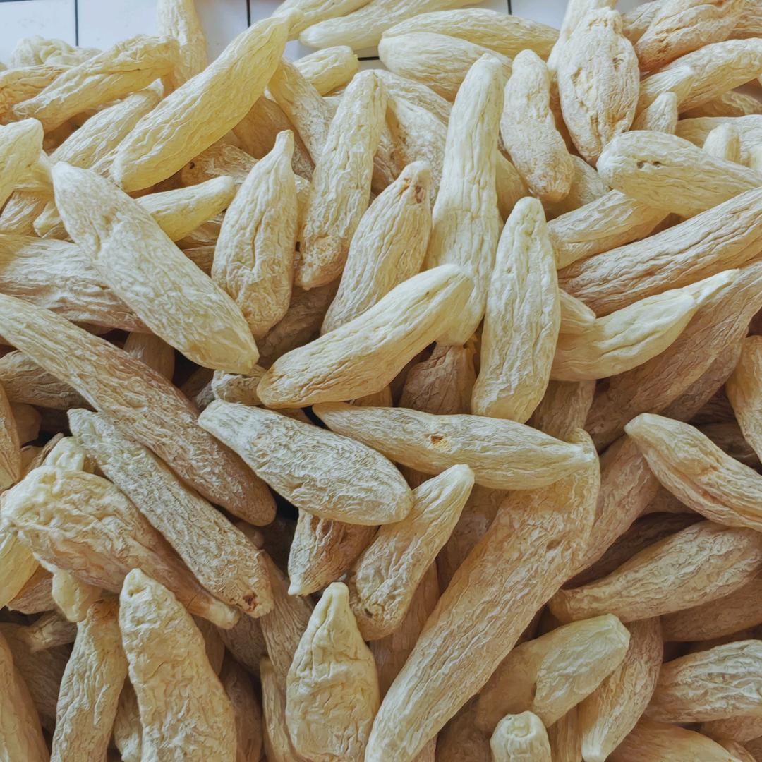 🦋ꦿ໊余生᭄🕊随心᭄ꦿᩚ٭