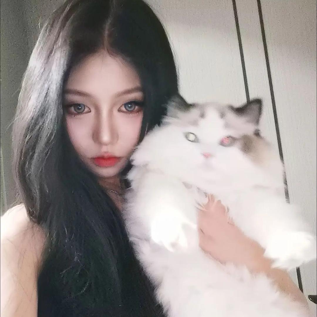 一小只玛卡巴卡🧸