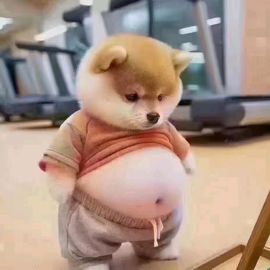 义哥