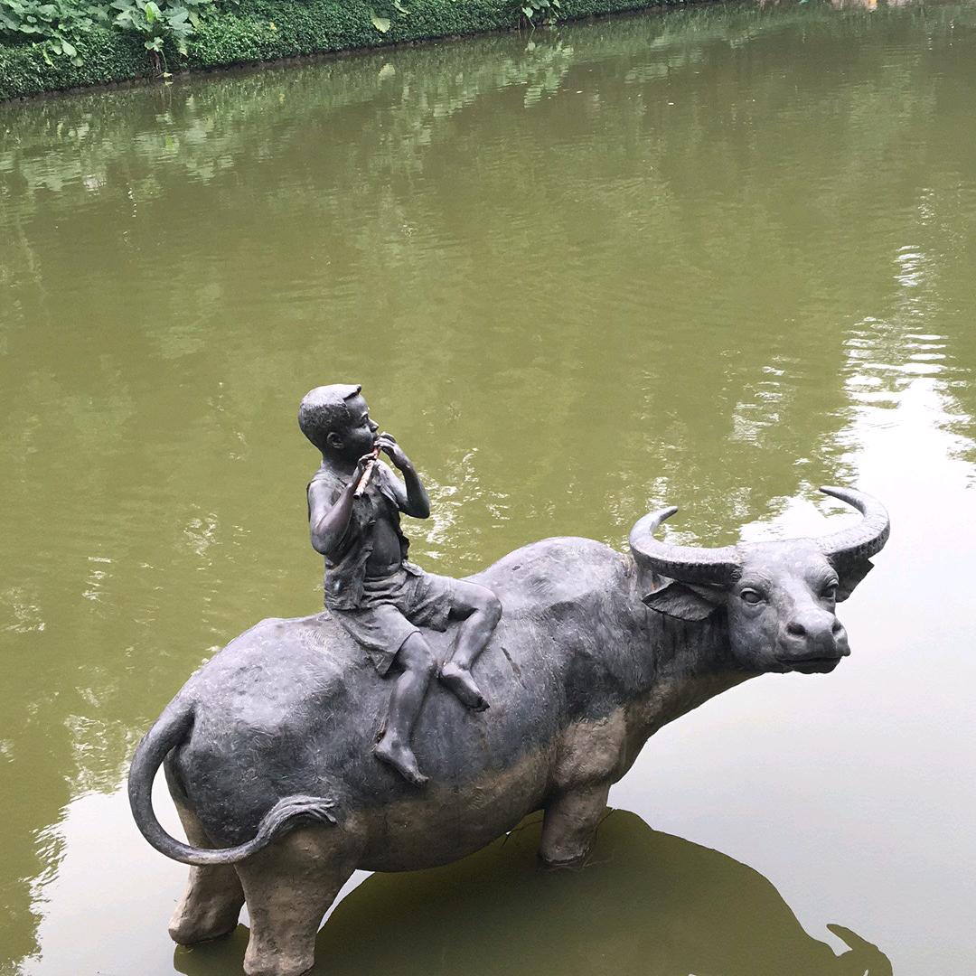 黑粉