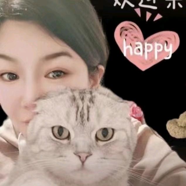 梧桐树下有只猫