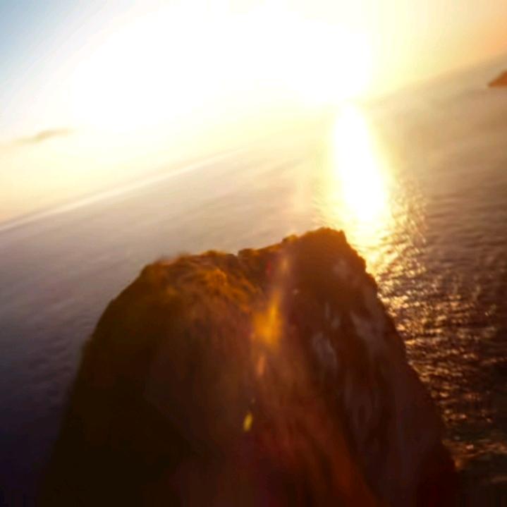 第五人格给我出金（也玩蛋仔）