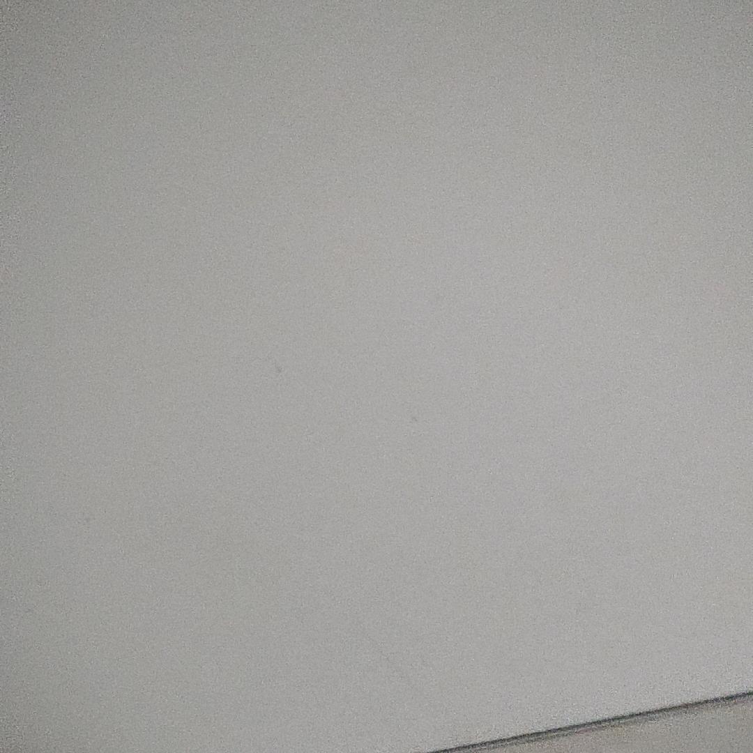 路芳
