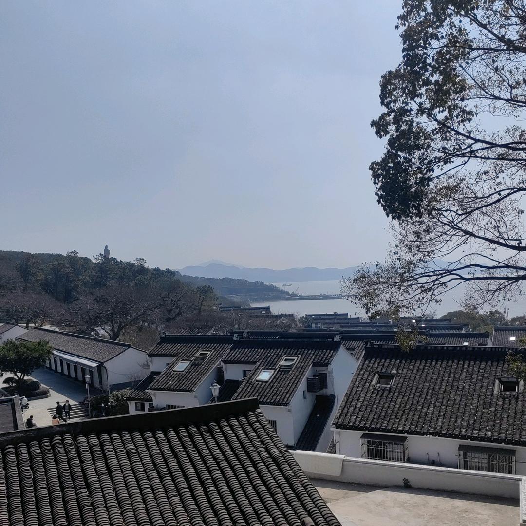 小怪兽👾