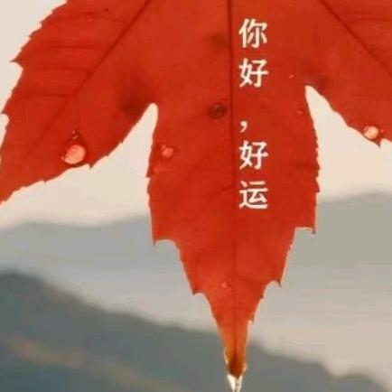 喜欢安静的看书