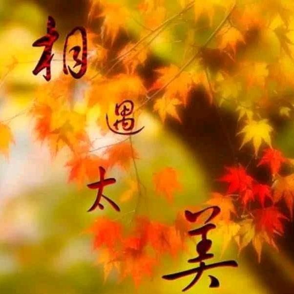 橙仁格萌
