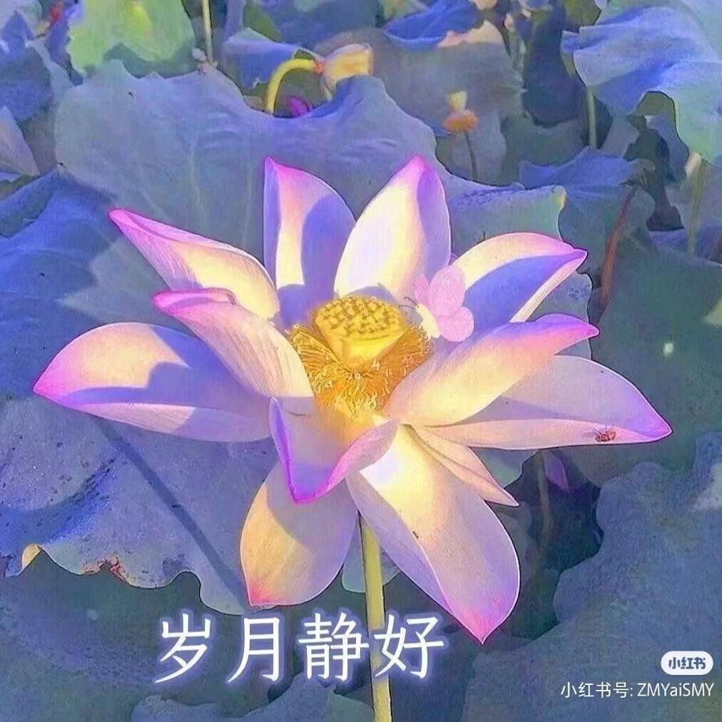 朱奶奶