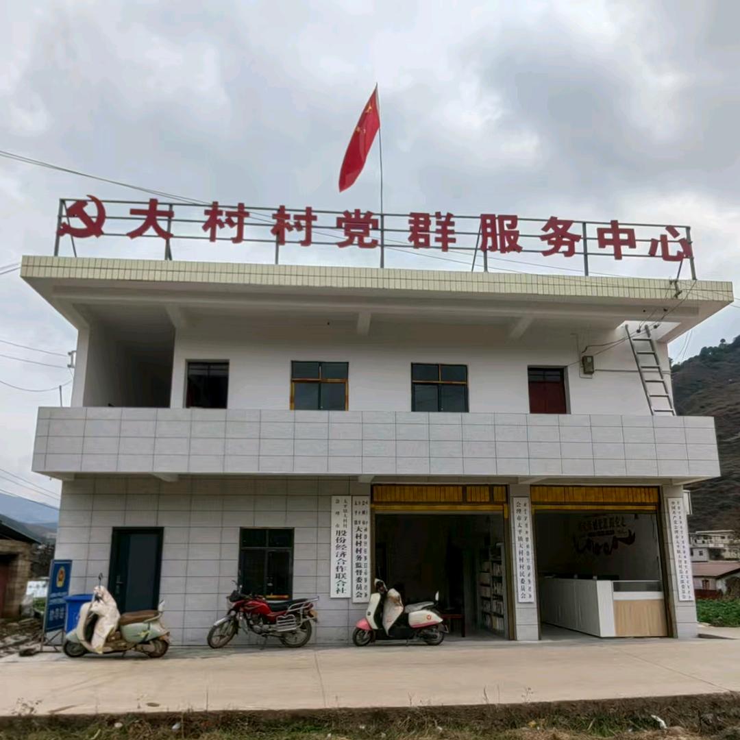 村支书（大村村）