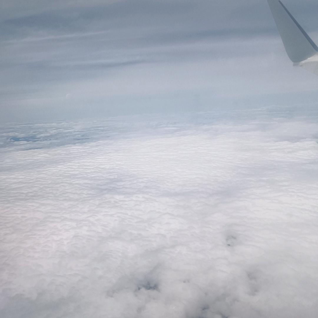 小陈红白喜事一条龙服务