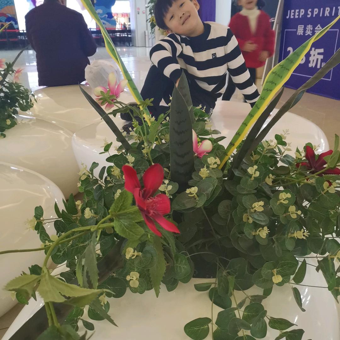 桂