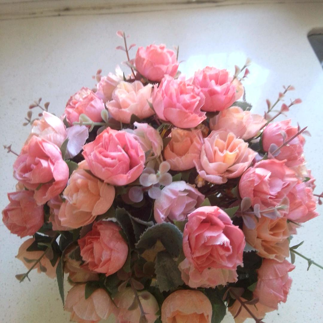 玫瑰花开