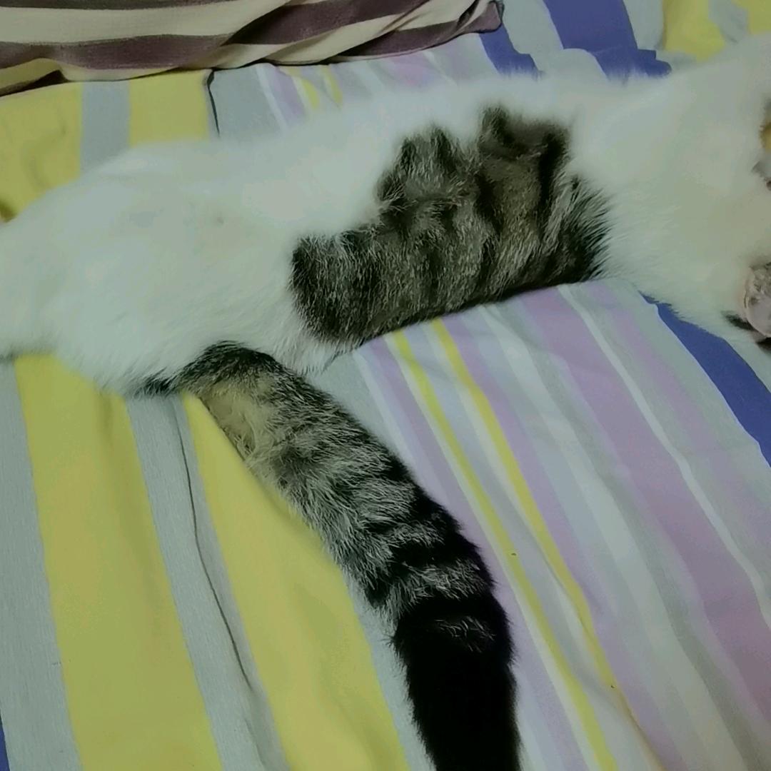 老鬼亲戚