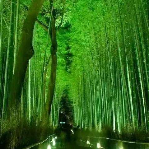 南风