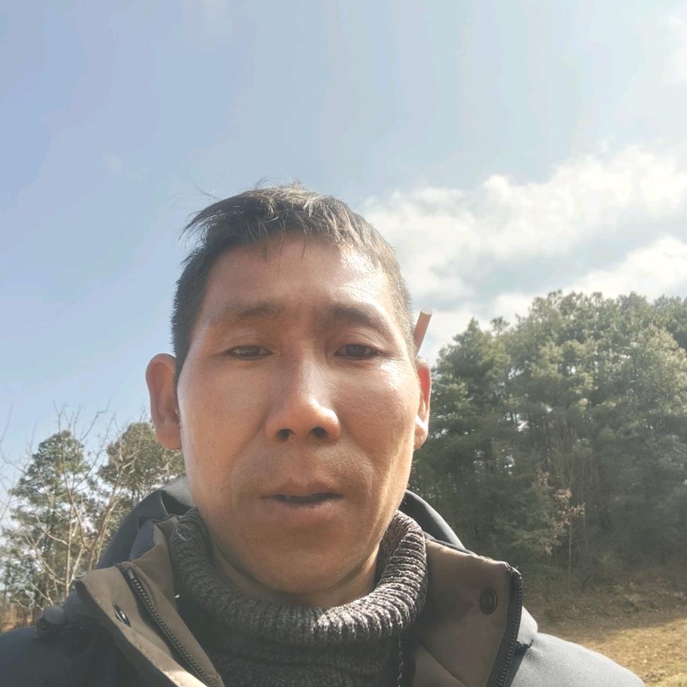 杨贵兴