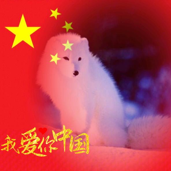 -张张-