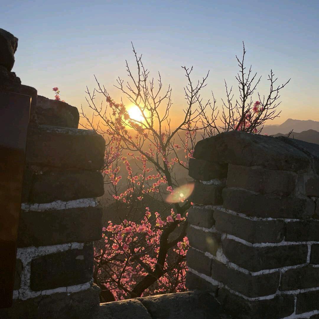 路陆