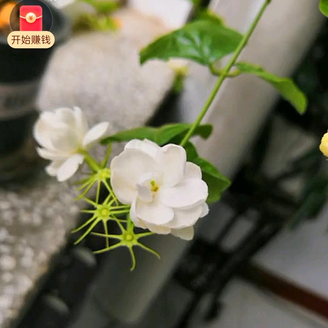 许多年以后