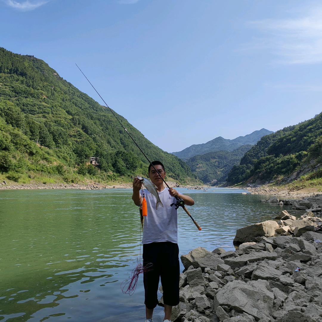 鳜迷心翘🐟
