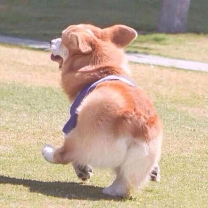 望
