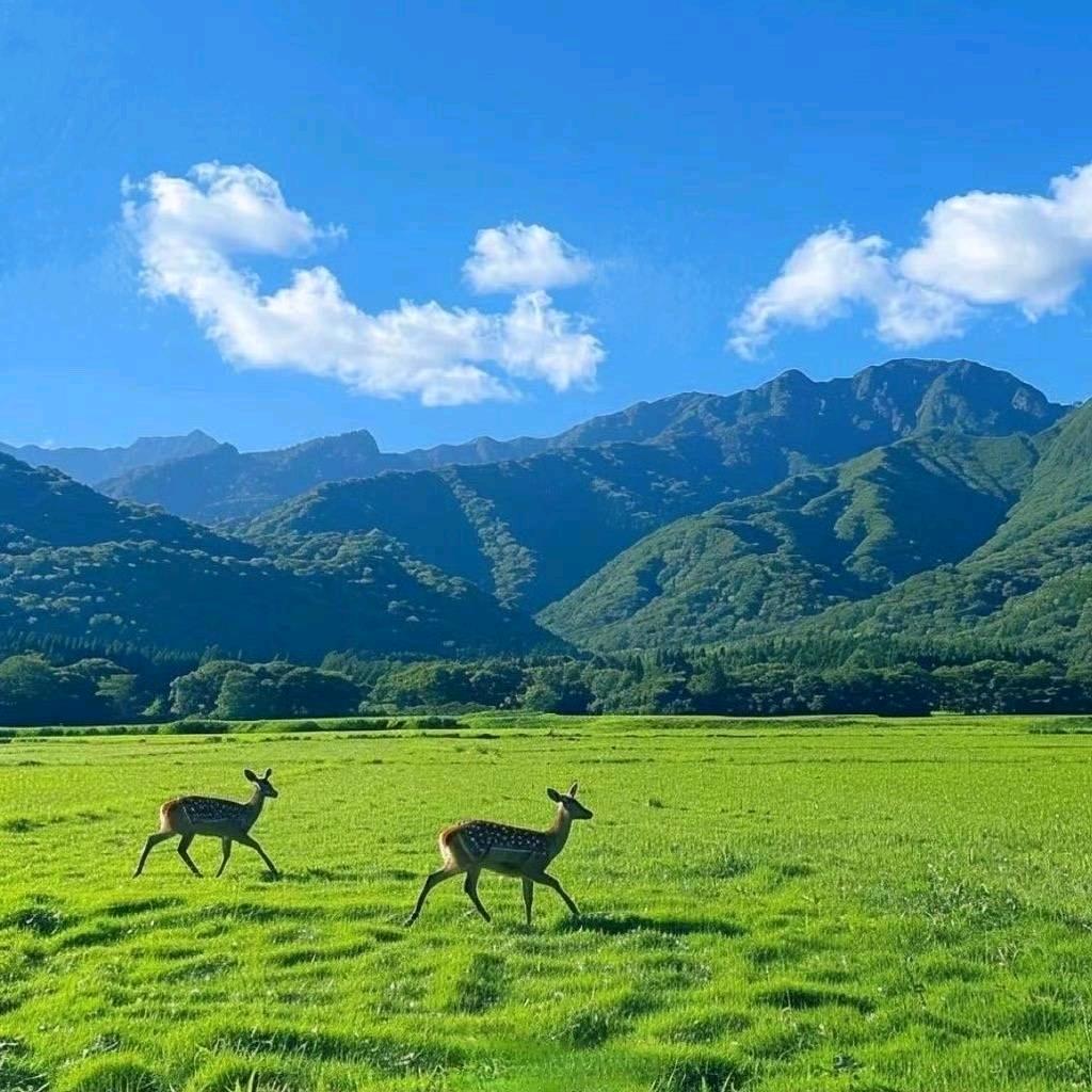 易水铮仕