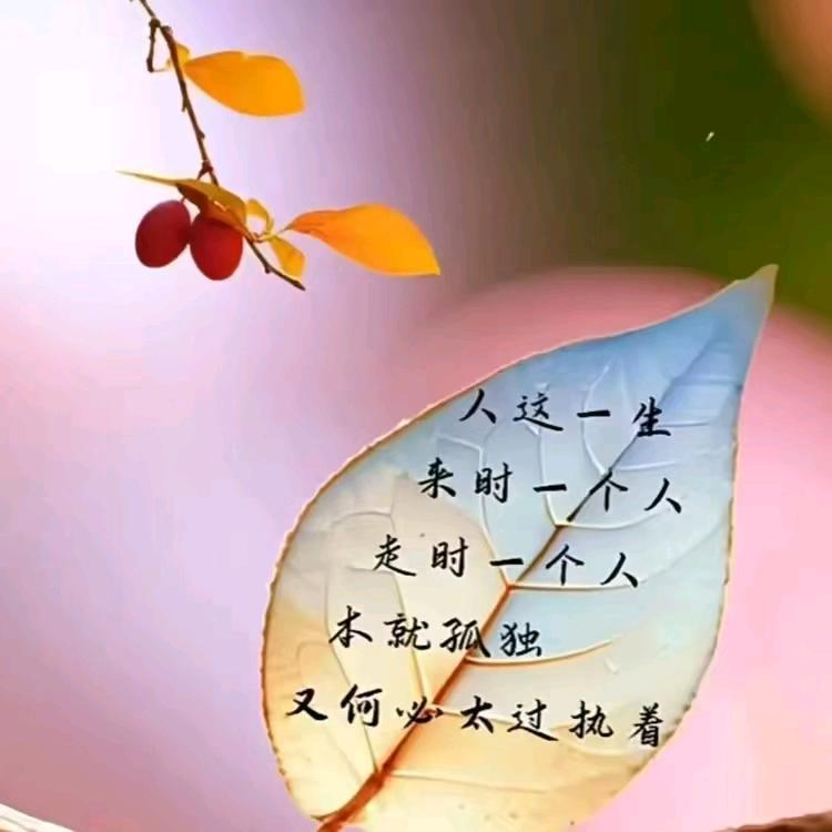 (平平淡淡)◑.◑