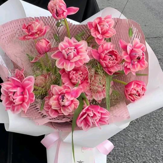 王琳聊水果拓客