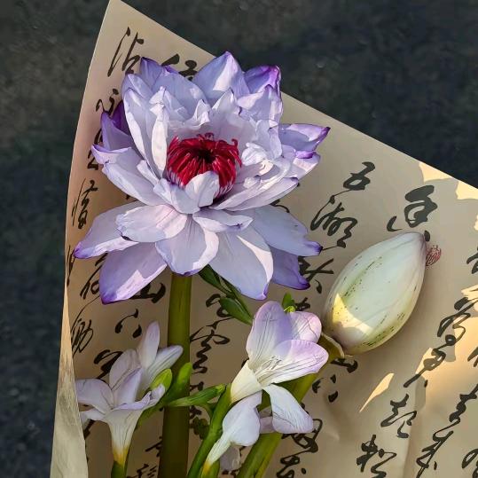 @不是你的菜