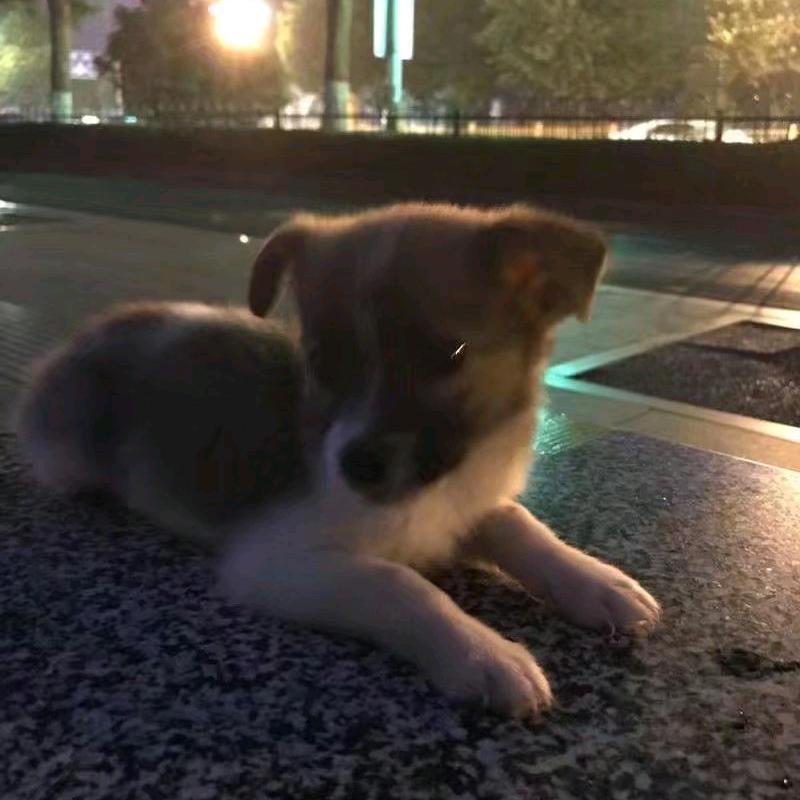 今天也是无聊的一天捏