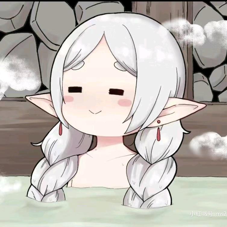 葬送的芙蓉王（学习中）