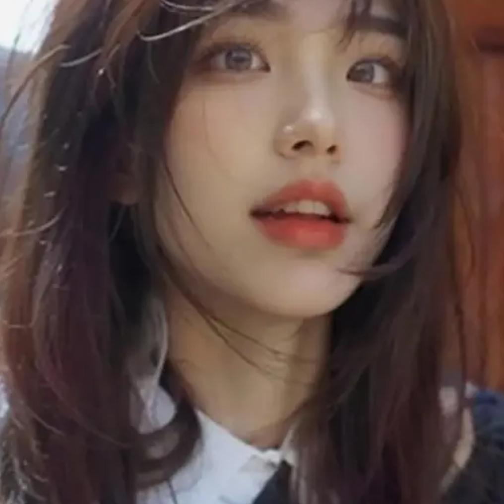 山里的猴