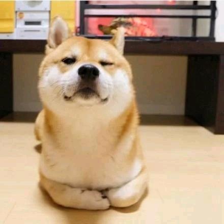 。。。。。。。。。。