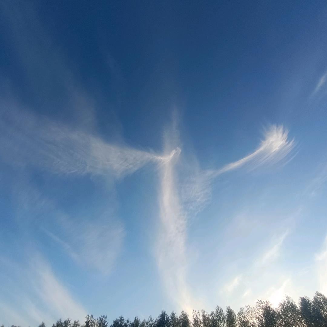 采蘑菇的狄安娜