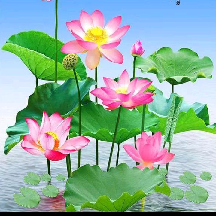 天天有个好心情- ̗̀(๑ᵔ⌔ᵔ๑)