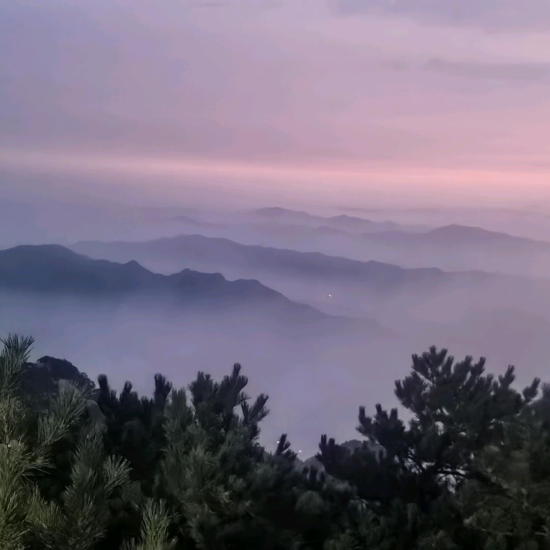 爱茉莉英语工作室