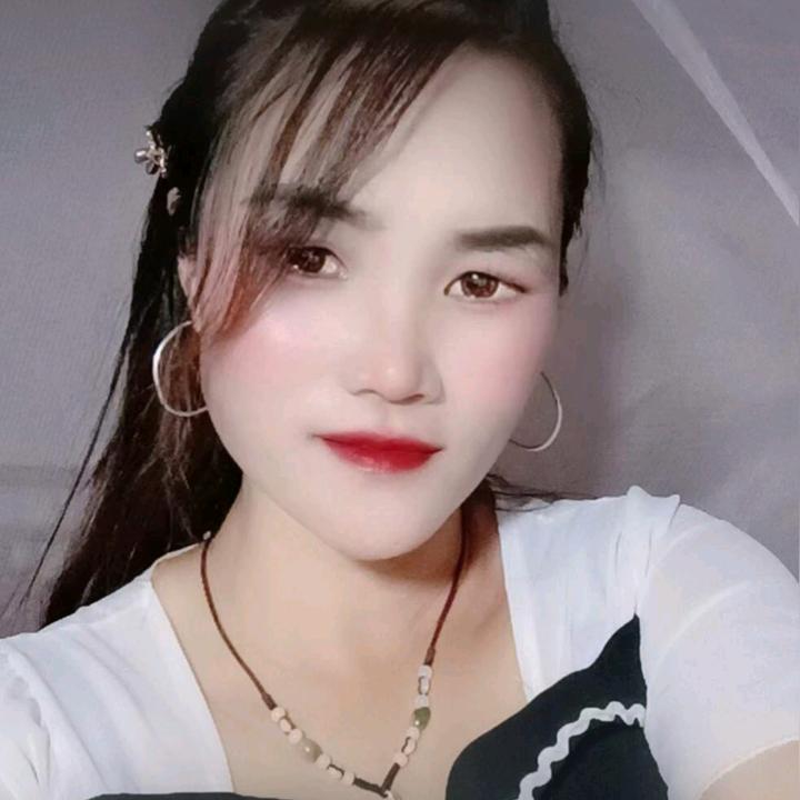 🕊白🕊鸽🕊