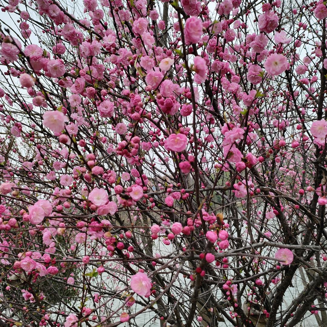 ☘️微笑向暖☀