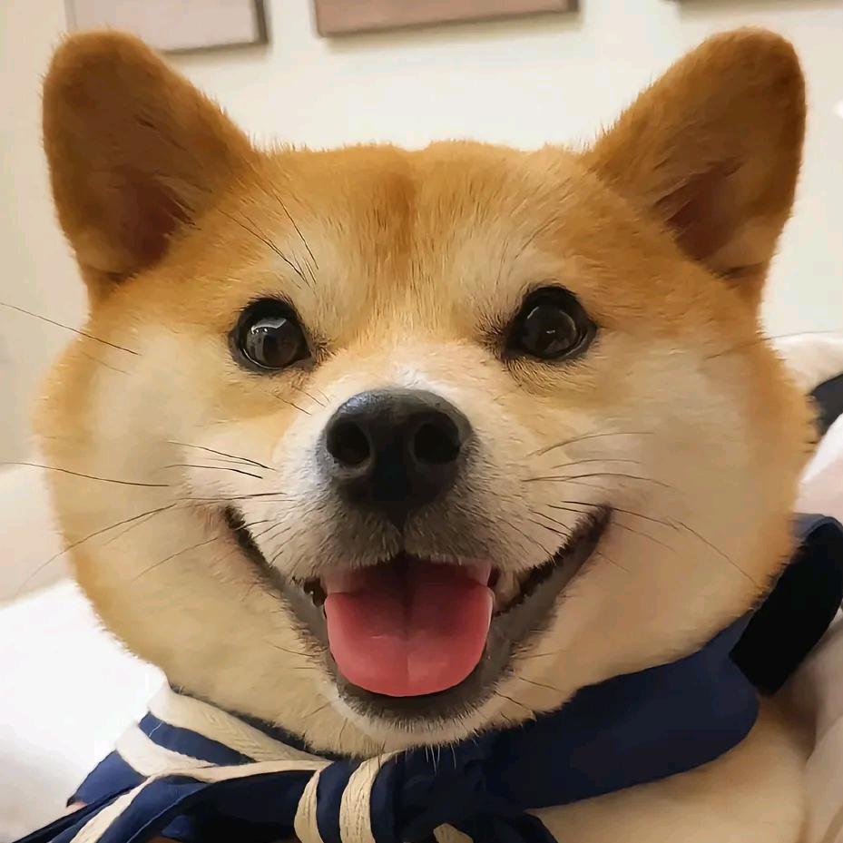 深圳888(备用号)