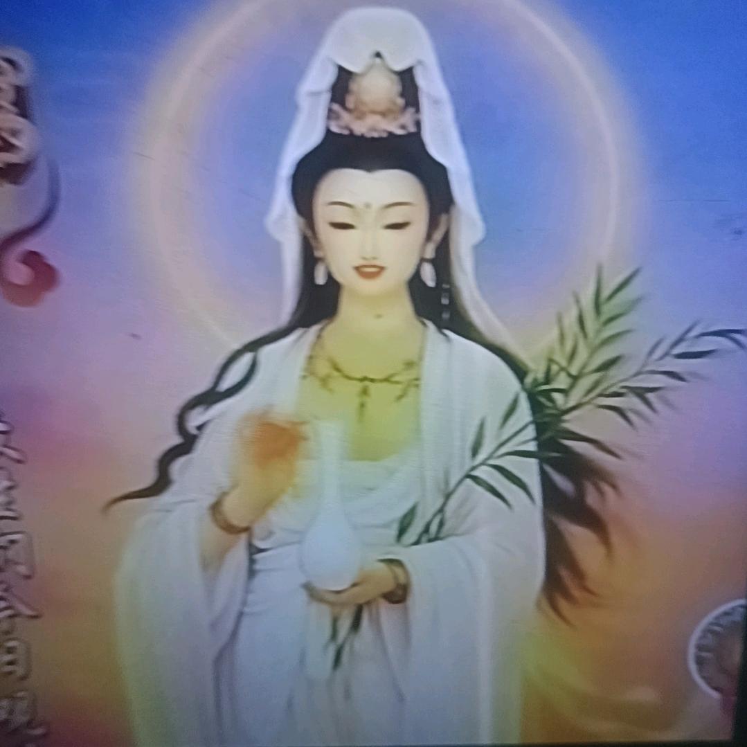 菩和